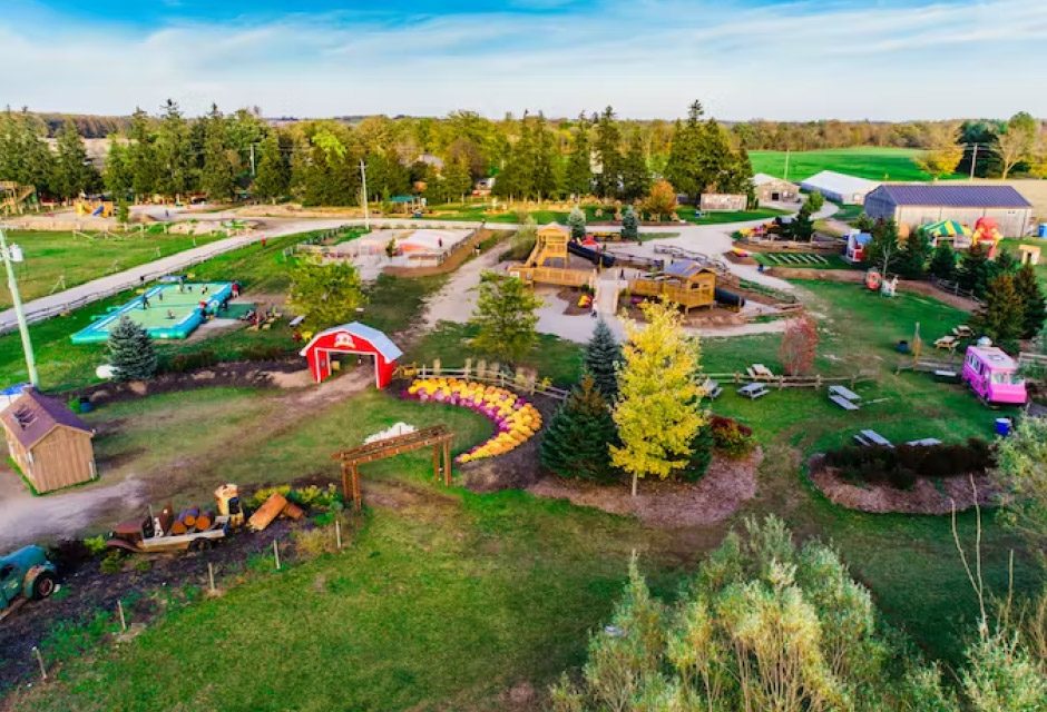 Snyder's Family Farm Pumpkin Patch